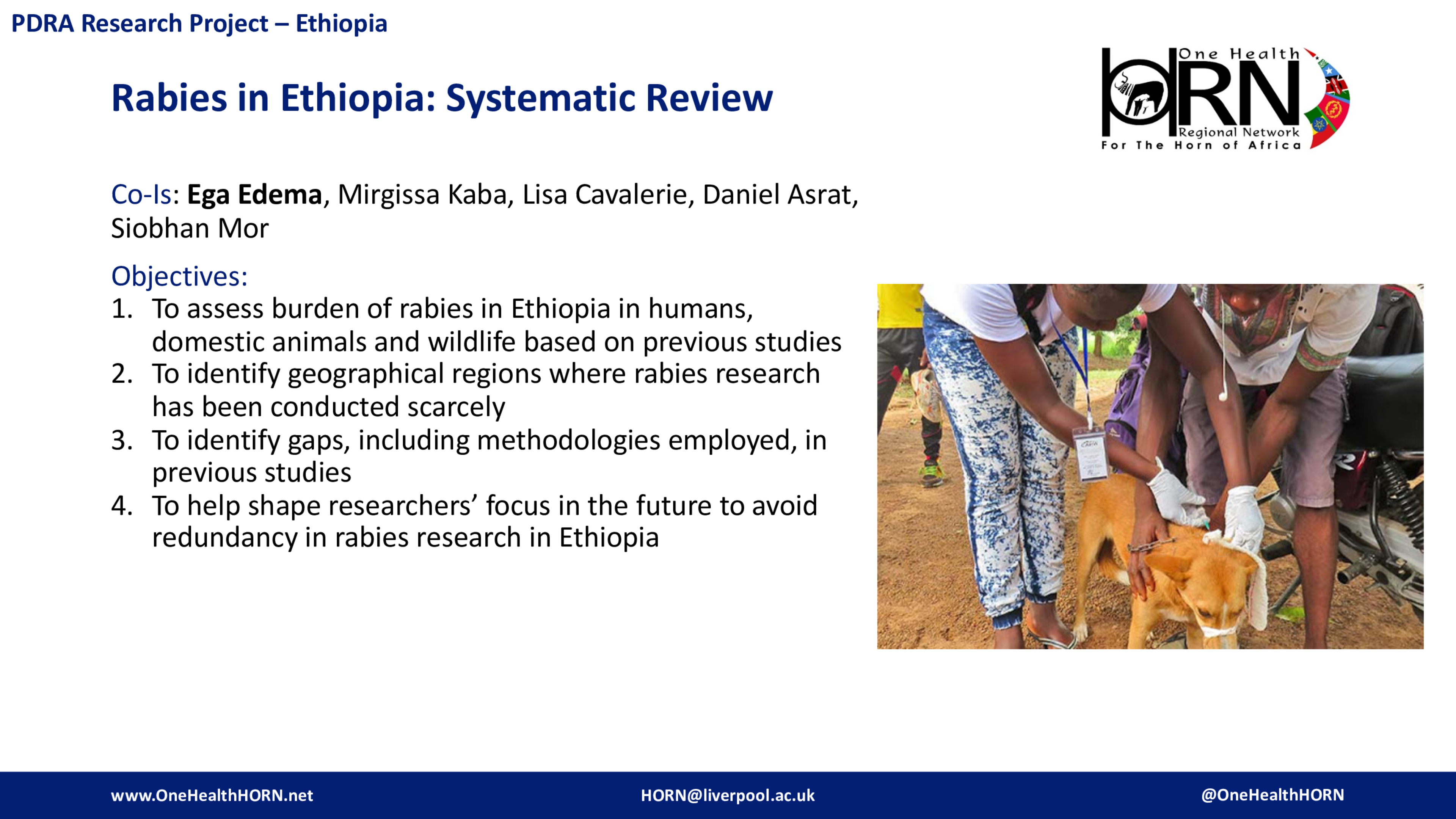 Rabies in Ethiopia: Systematic Review