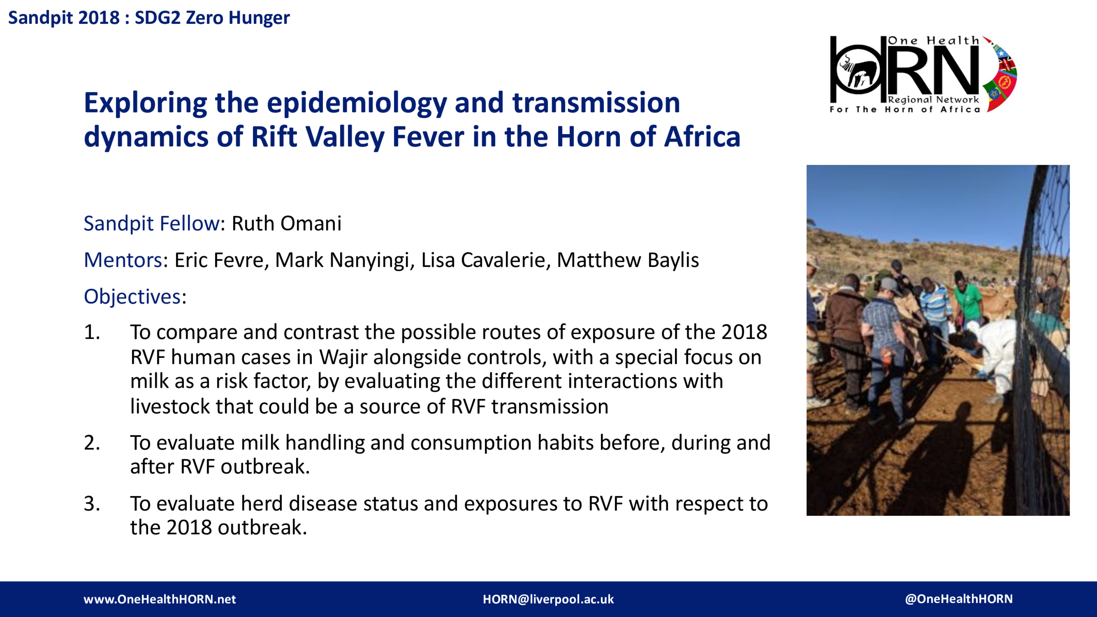 Exploring the epidemiology and transmission dynamics of Rift Valley Fever in the Horn of Africa