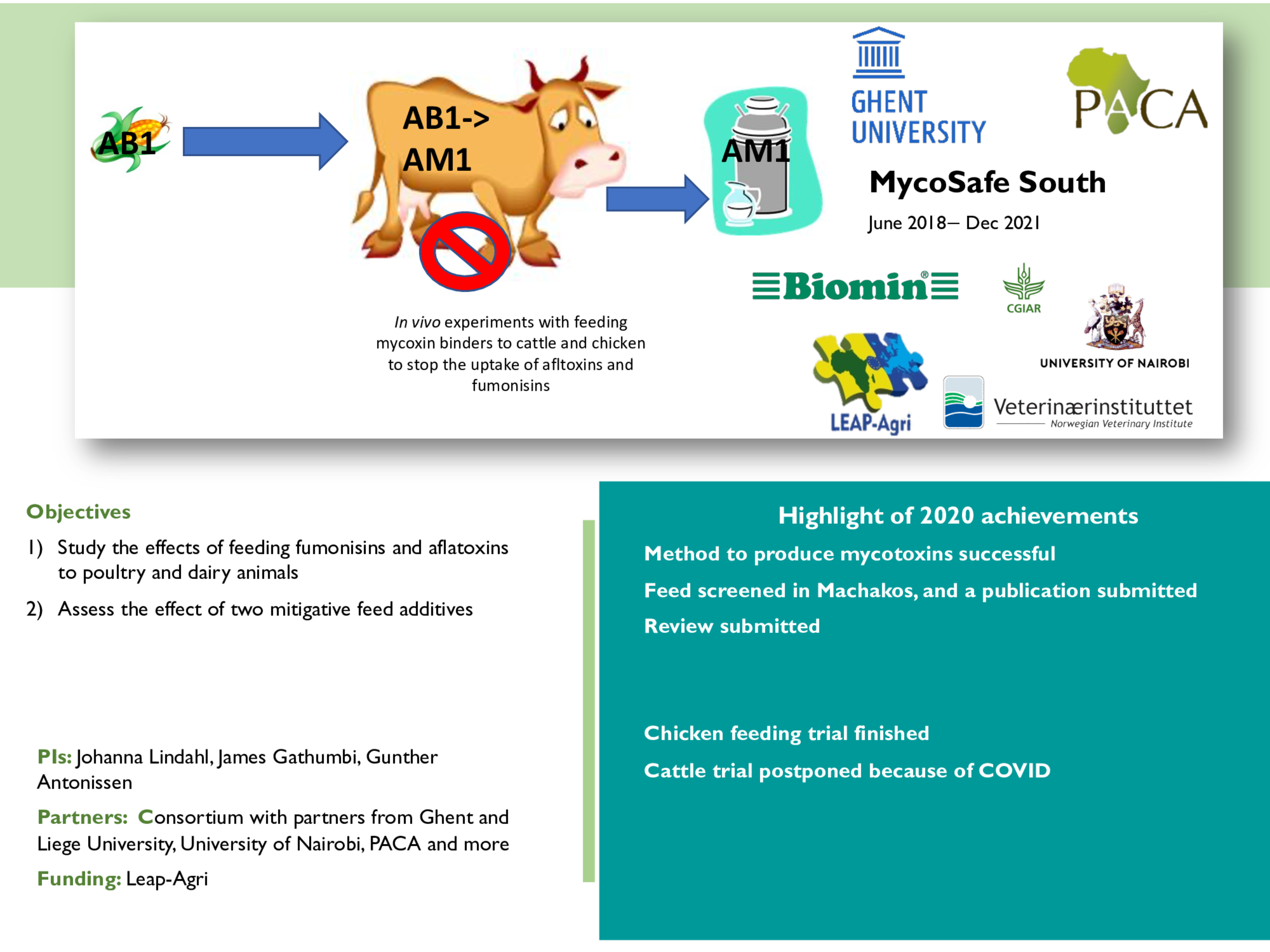 MycoSafe South