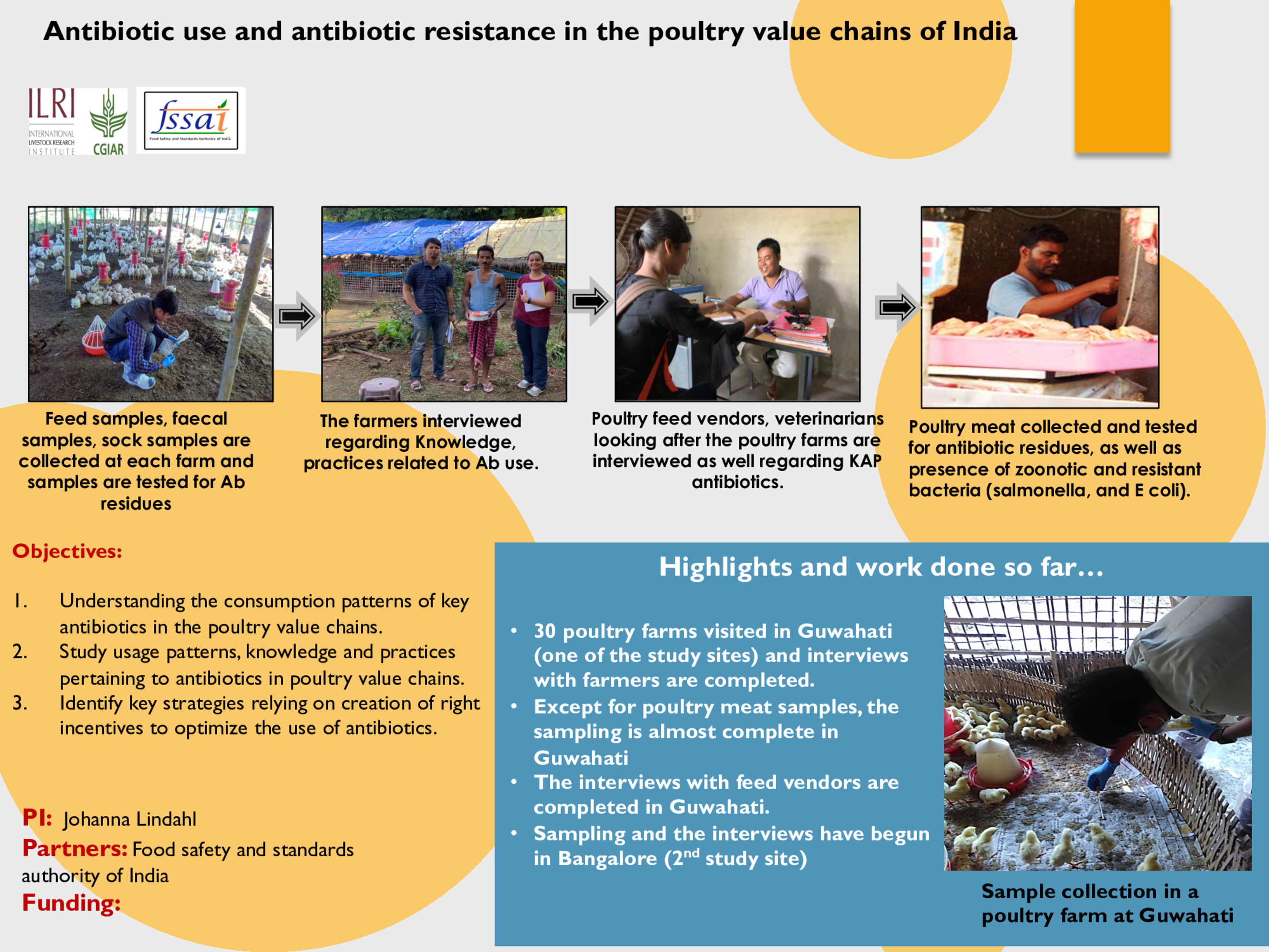 Antibiotic use and antibiotic resistance in the poultry value chains of India