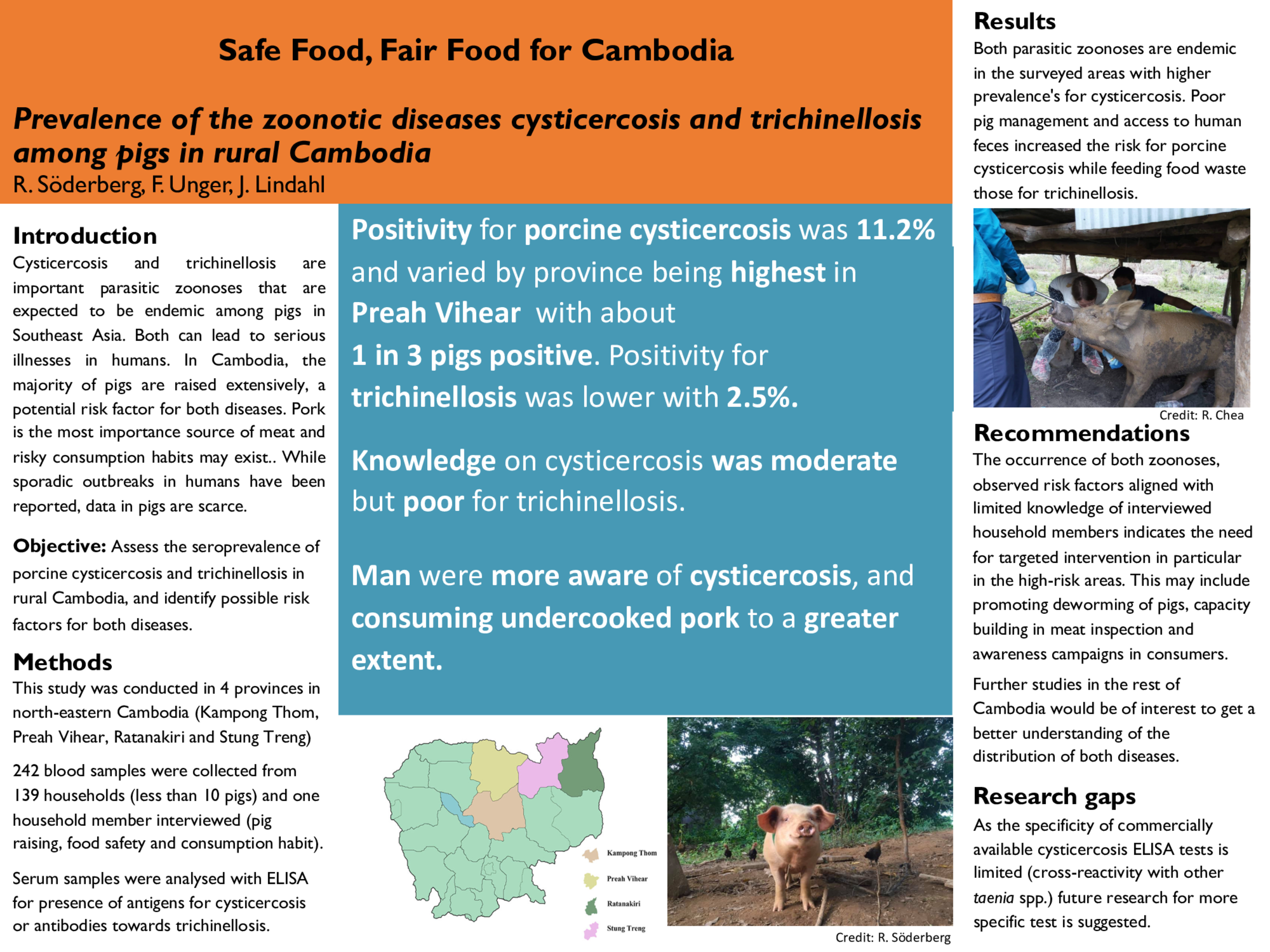 Safe Food, Fair Food for Cambodia - Prevalence of the zoonotic diseases cysticercosis and trichinellosis among pigs in rural Cambodia