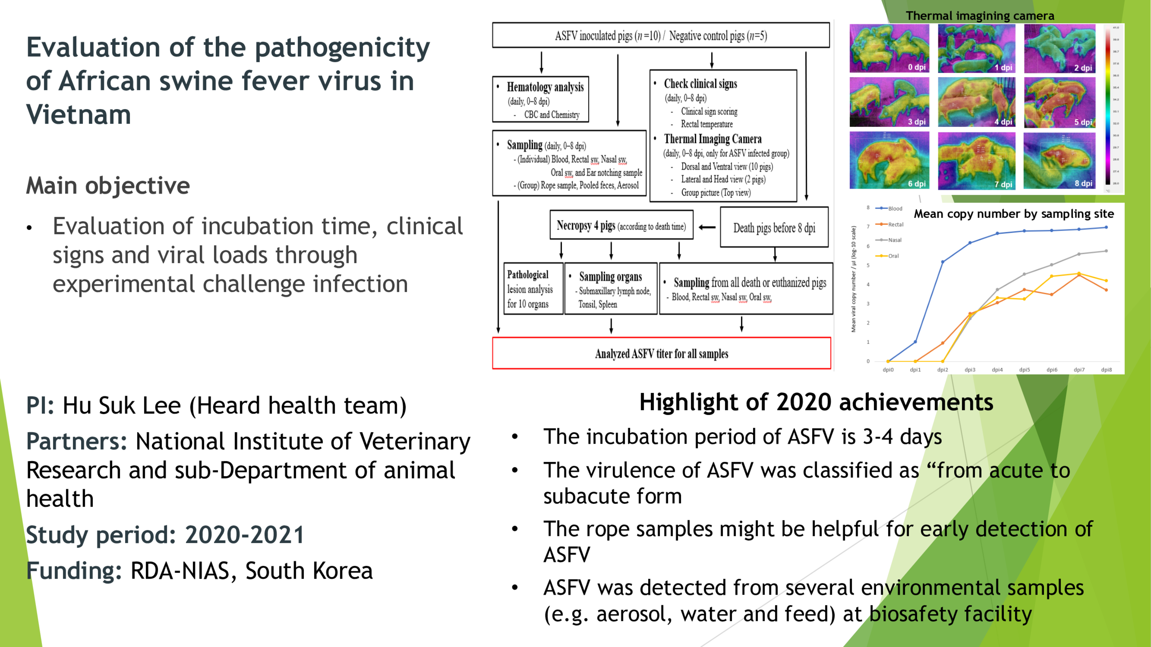 Evaluation of the pathogenicity of African swine fever virus in Vietnam