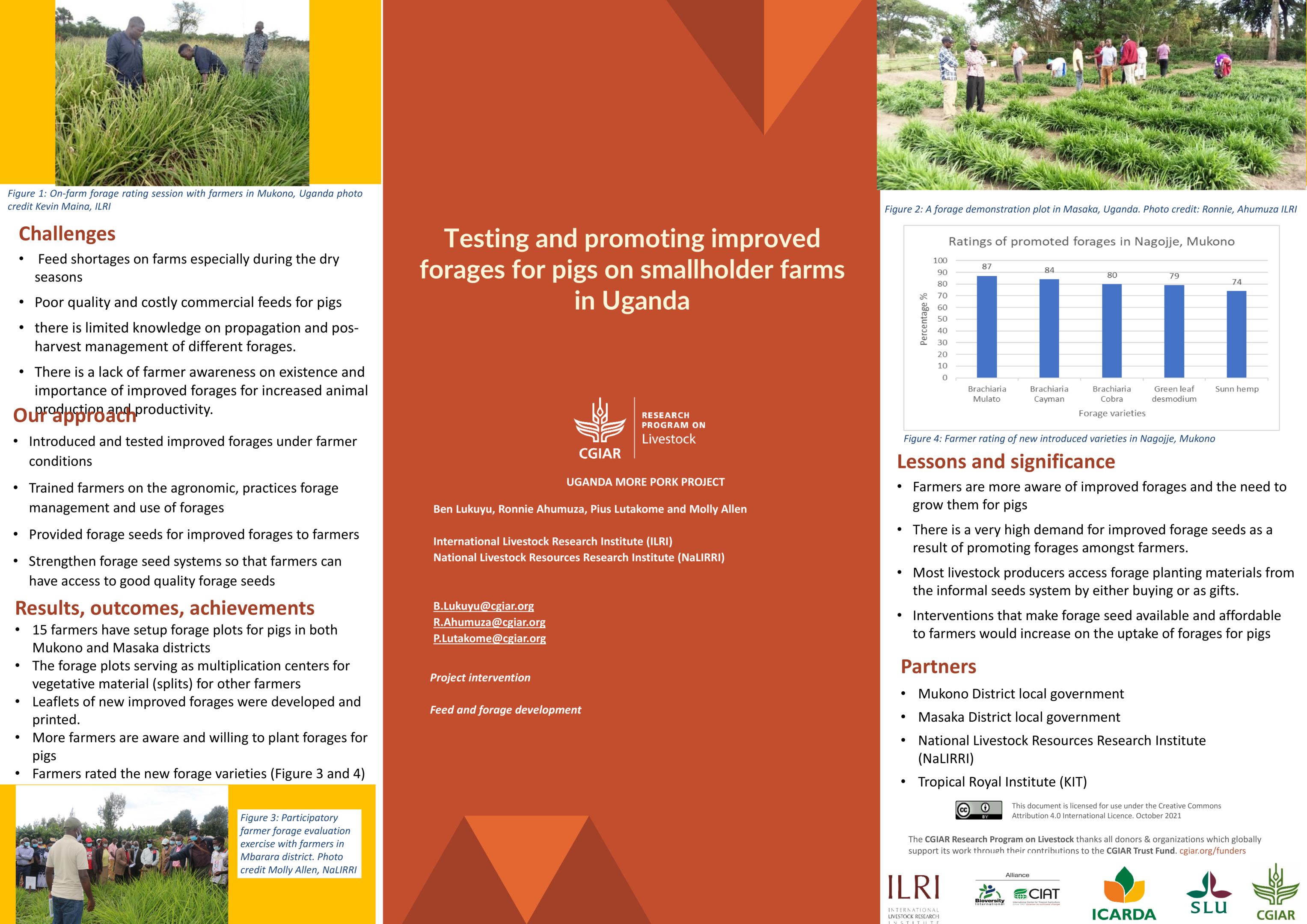 6. Testing and promoting improved forages for pigs on smallholder farms in Uganda 