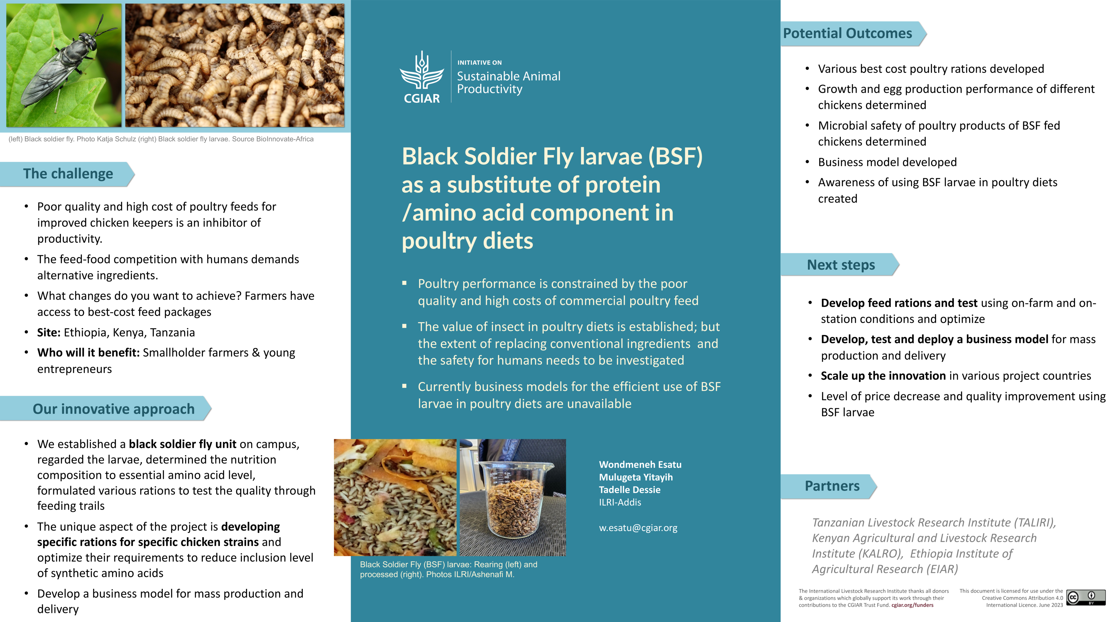 Black Soldier Fly larvae (BSF) as a substitute of protein /amino acid component in poultry diets