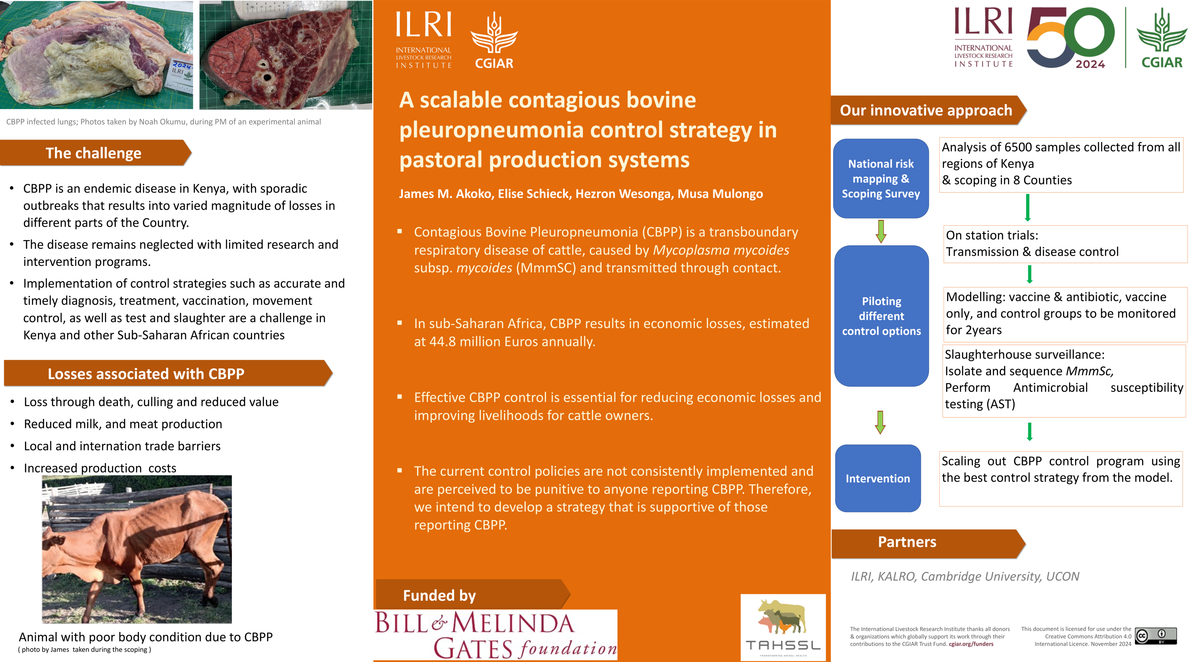 A scalable contagious bovine pleuropneumonia control strategy in pastoral production systems