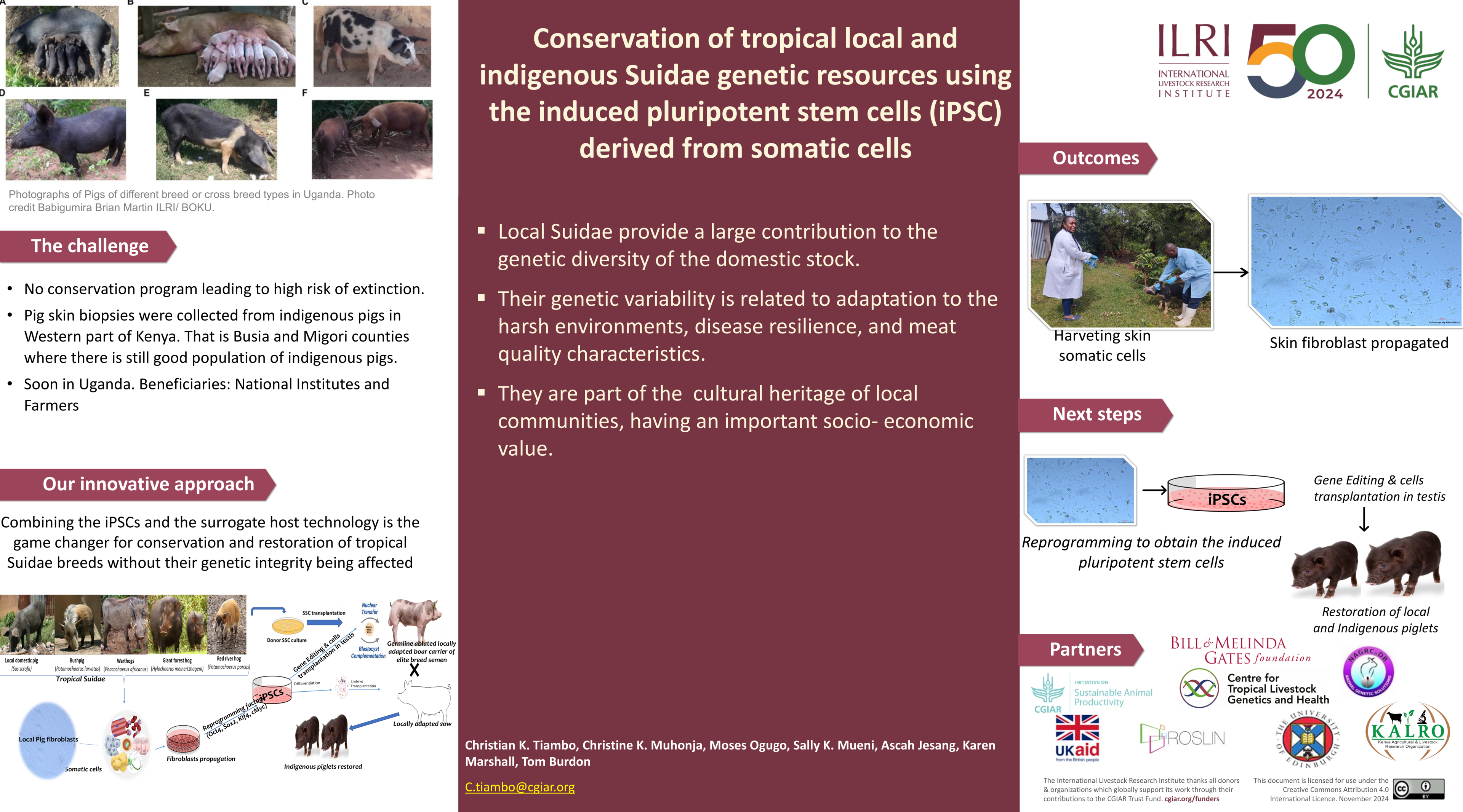 Conservation of tropical local and indigenous Suidae genetic resources using the induced pluripotent stem cells (iPSC) derived from somatic cells