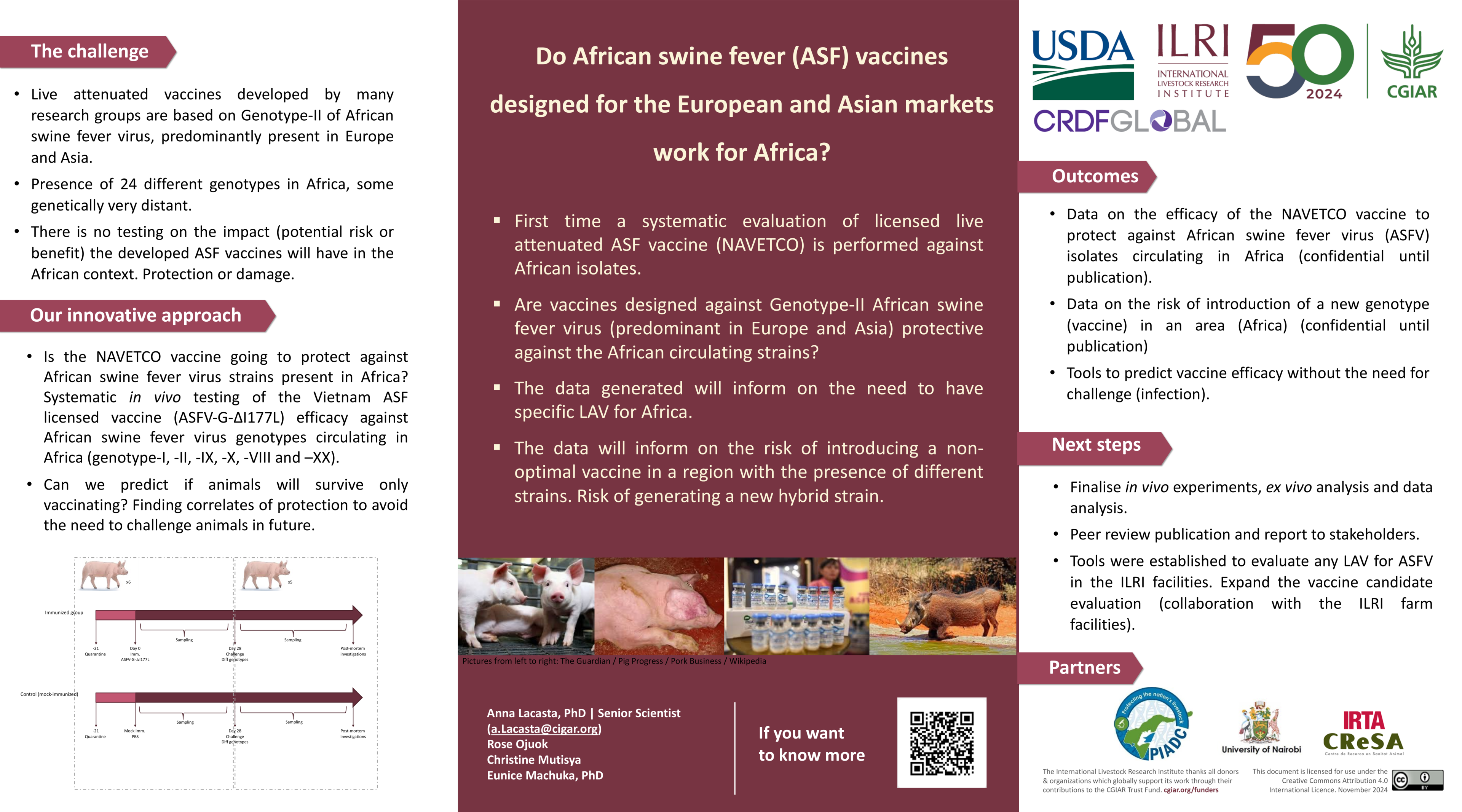 Do African swine fever (ASF) vaccines designed for the European and Asian markets work for Africa?