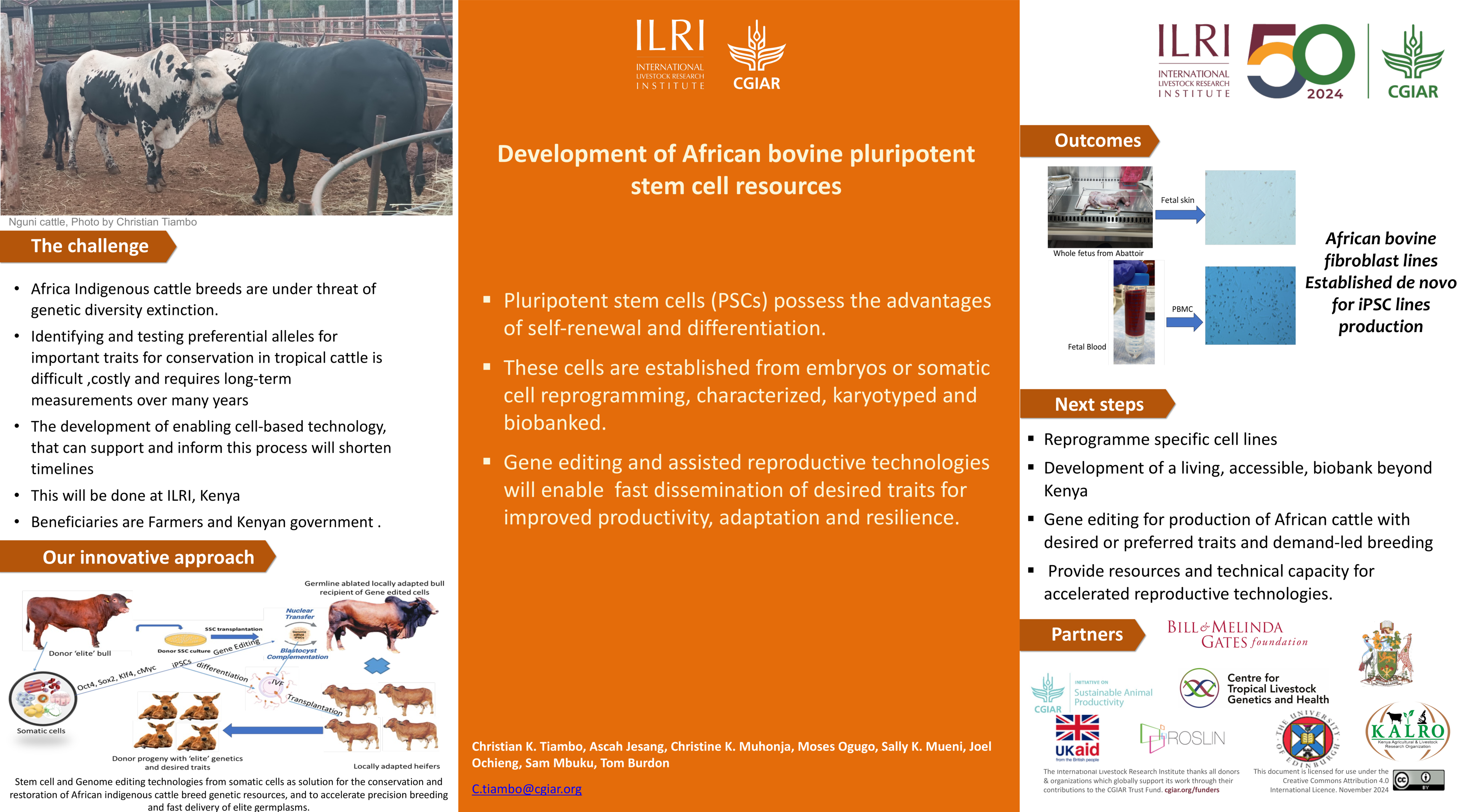 Development of African bovine pluripotent stem cell resources