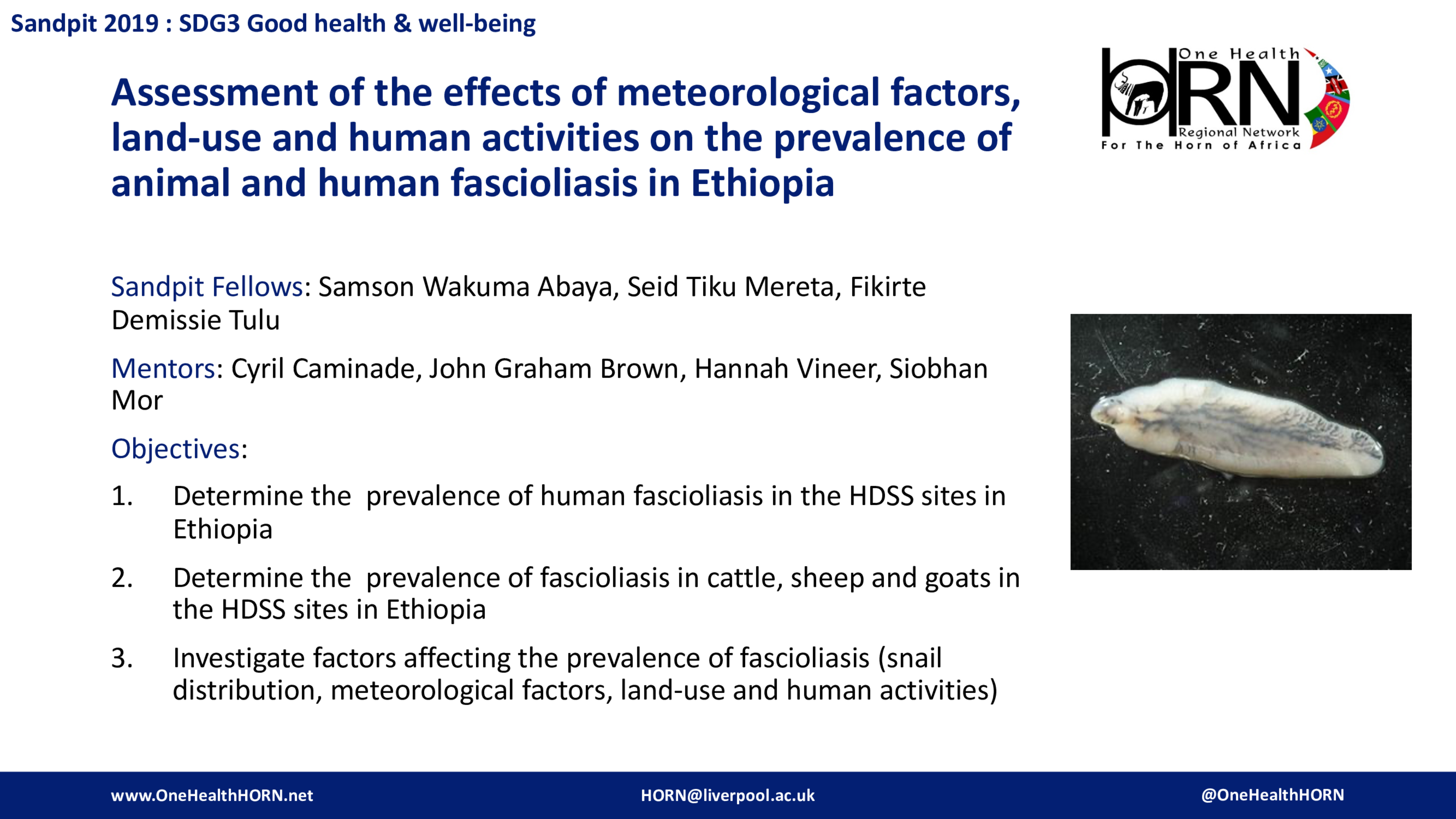 Assessment of the effects of meteorological factors, land-use and human activities on the prevalence of animal and human fascioliasis in Ethiopia