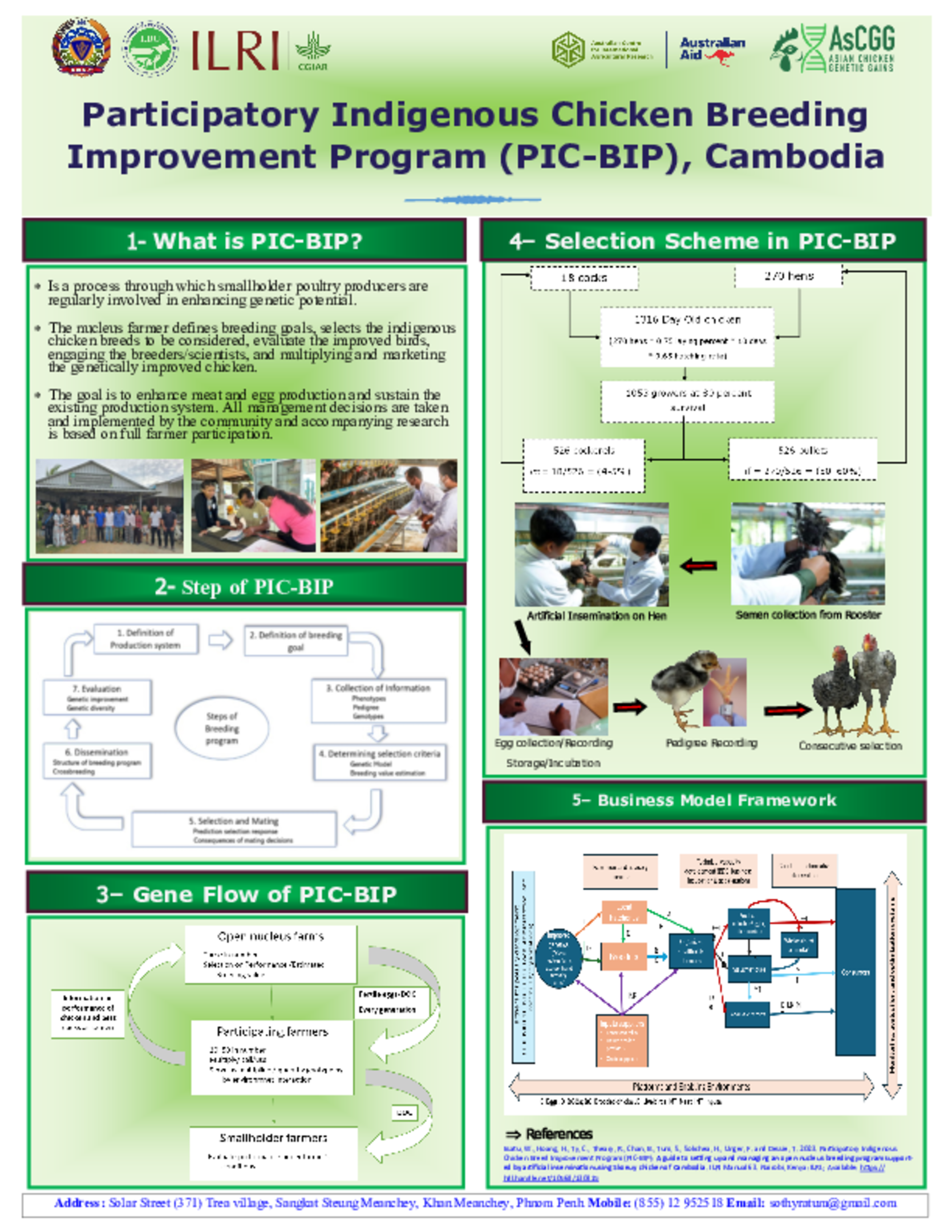 Participatory indigenous chicken breed improvement program (PIC-BIP) in Cambodia