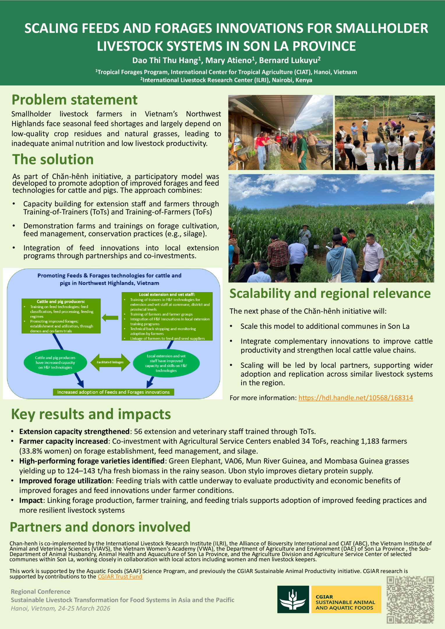 Scaling feeds and forages innovations for smallholder livestock systems in Son La province
