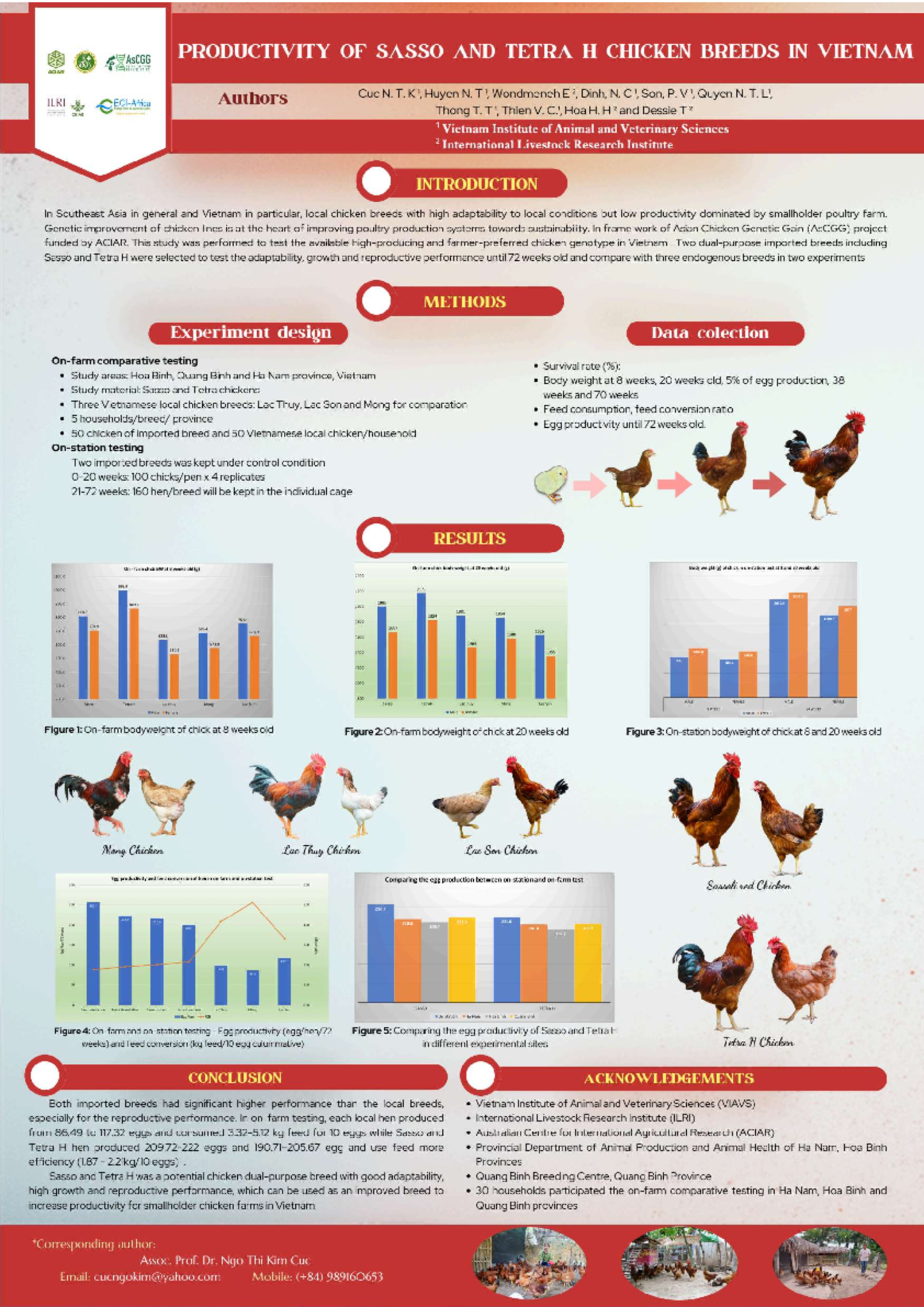 Productivity of Sasso and Tetra H Chicken Breeds In Vietnam