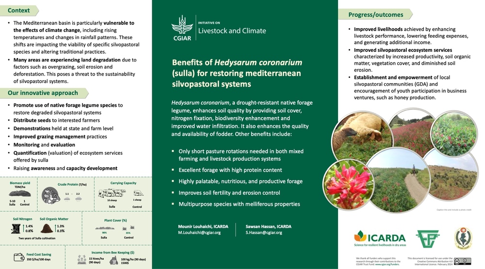 Benefits of Hedysarum coronarium (sulla) for restoring mediterranean silvopastoral systems 