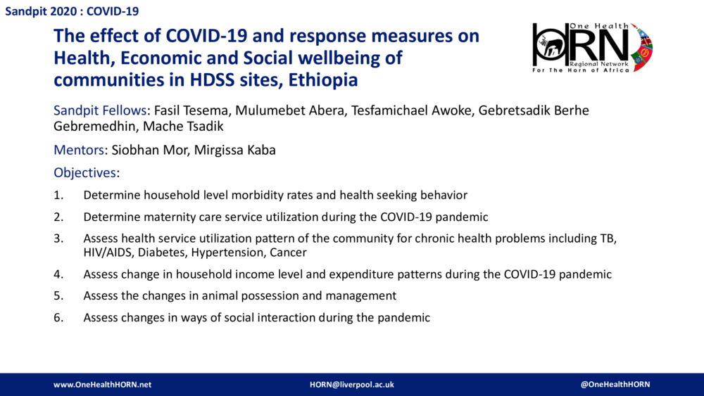 The effect of COVID-19 and response measures on Health, Economic and Social wellbeing of communities in HDSS sites, Ethiopia
