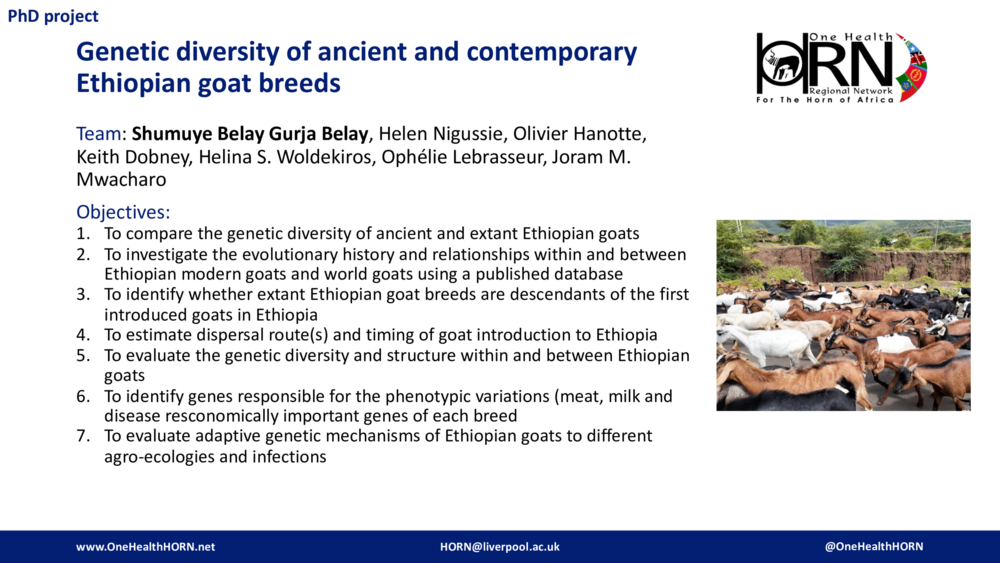 Genetic diversity of ancient and contemporary Ethiopian goat breeds