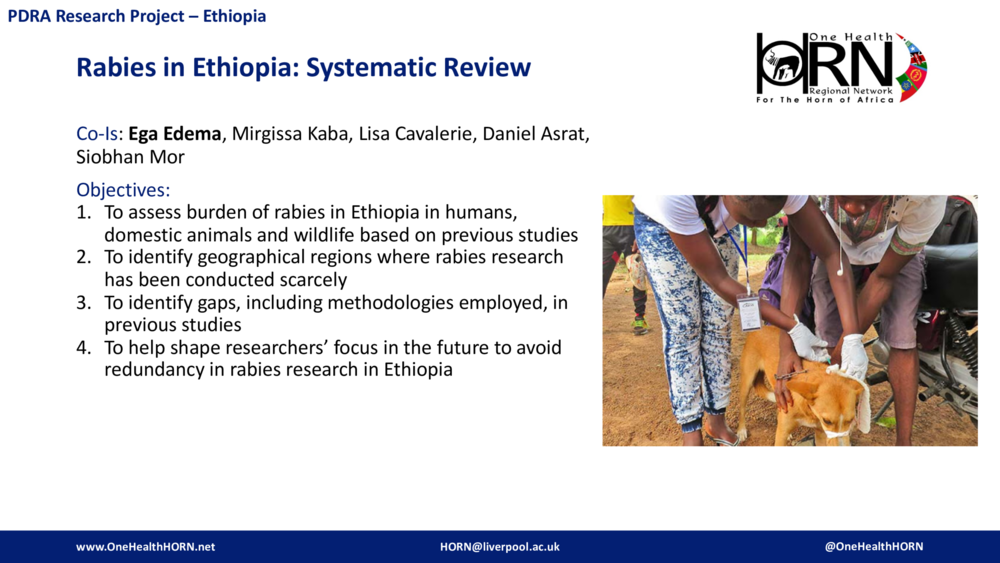 Rabies in Ethiopia: Systematic Review