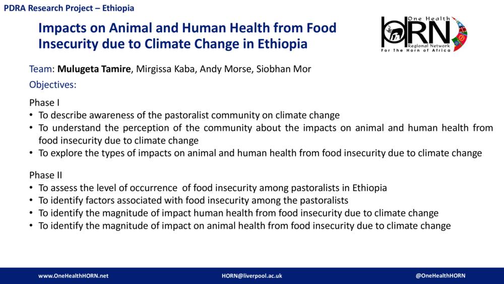 Impacts on Animal and Human Health from Food Insecurity due to Climate Change in Ethiopia