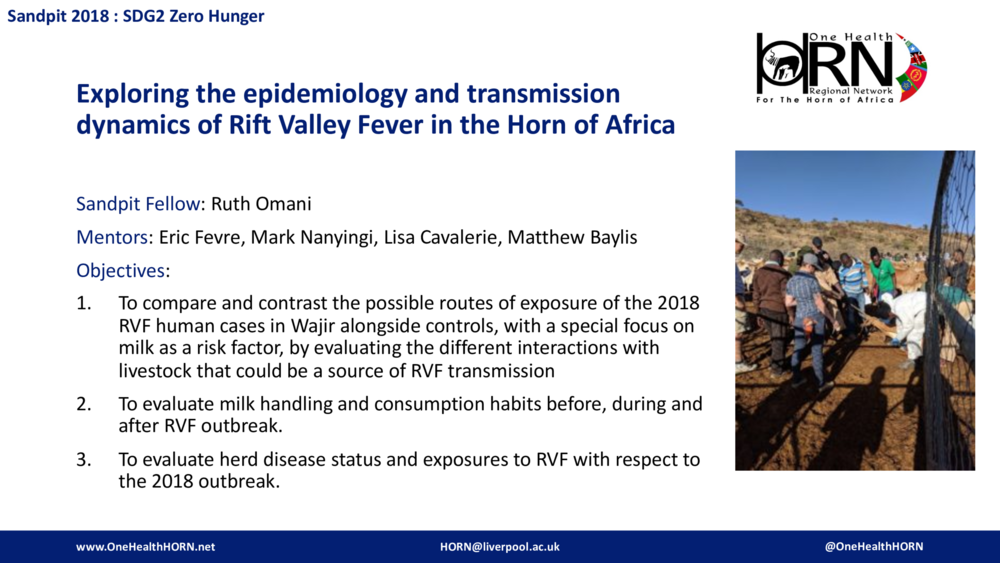 Exploring the epidemiology and transmission dynamics of Rift Valley Fever in the Horn of Africa