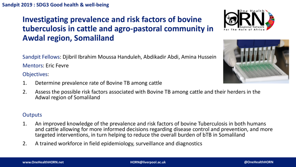 Investigating prevalence and risk factors of bovine tuberculosis in cattle and agro-pastoral community in Awdal region, Somaliland