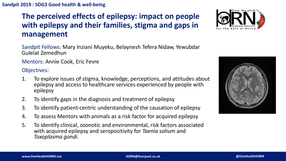 The perceived effects of epilepsy: impact on people with epilepsy and their families, stigma and gaps in management
