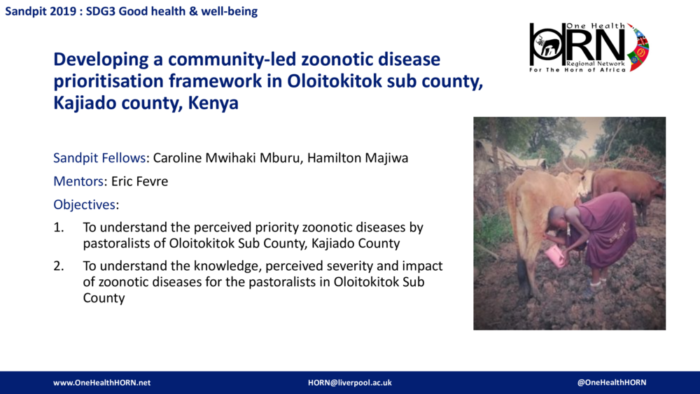 Developing a community-led zoonotic disease prioritisation framework in Oloitokitok sub county, Kajiado county, Kenya