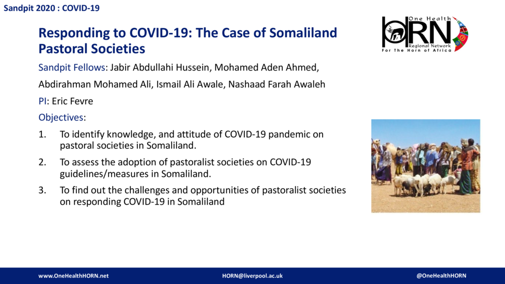 Responding to COVID-19: The Case of Somaliland Pastoral Societies
