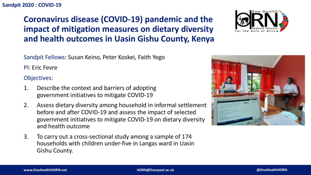 Coronavirus disease (COVID-19) pandemic and the impact of mitigation measures on dietary diversity and health outcomes in Uasin Gishu County, Kenya