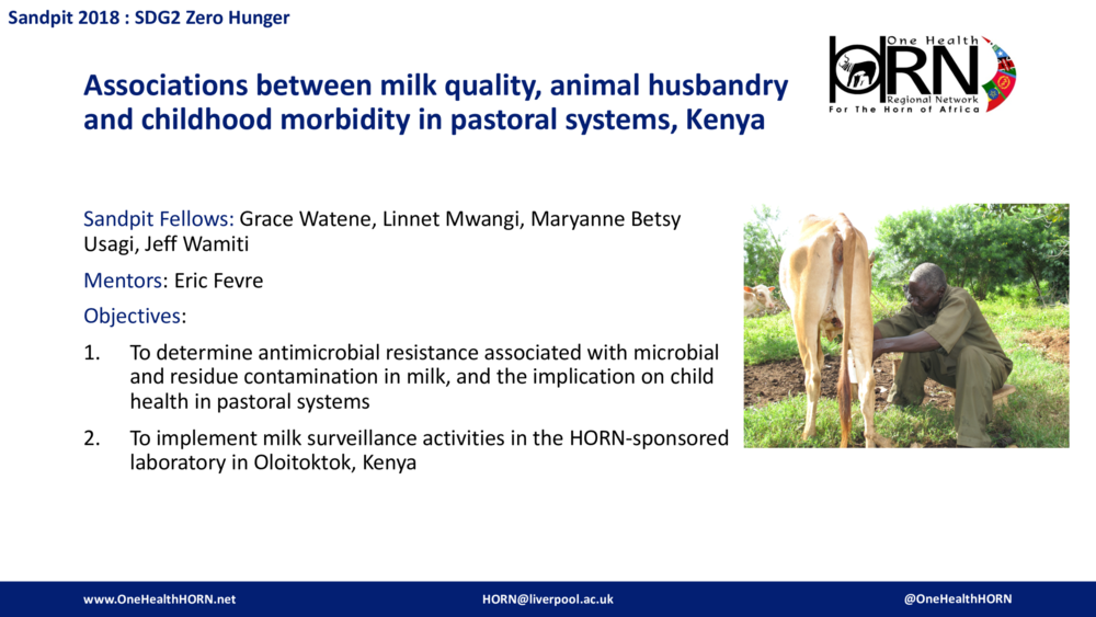 Associations between milk quality, animal husbandry and childhood morbidity in pastoral systems, Kenya