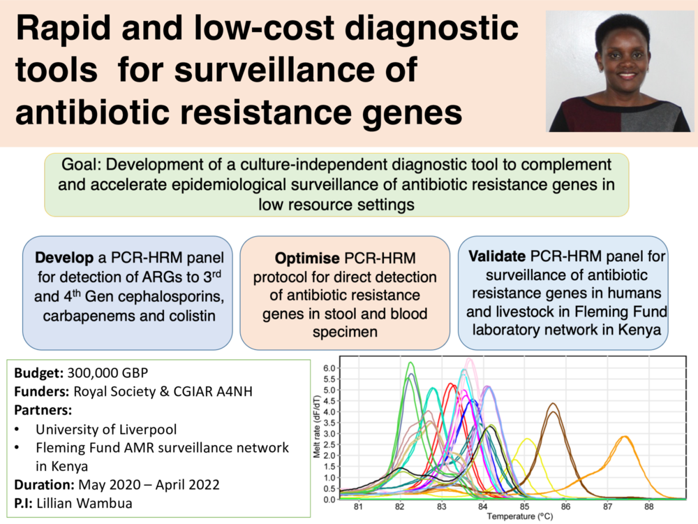 Rapid and low-cost diagnostic tools for surveillance of antibiotic resistance genes