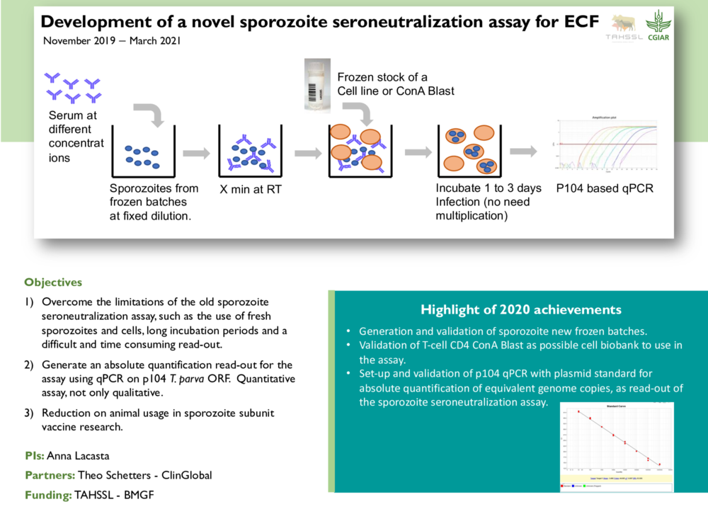 Development of a novel sporozoite seroneutralization assay for ECF