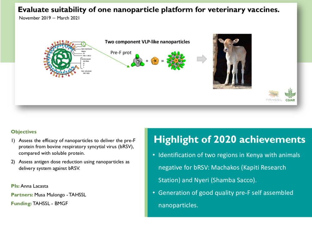 Evaluate suitability of one nanoparticle platform for veterinary vaccines