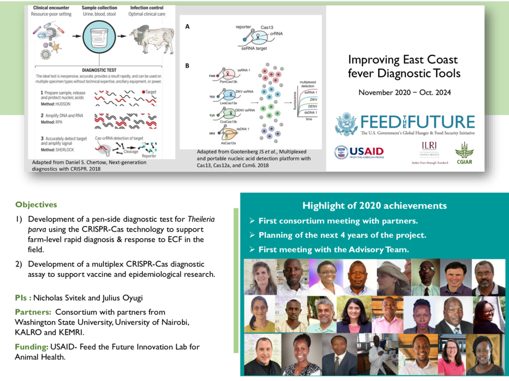 Improving East Coast fever Diagnostic Tools