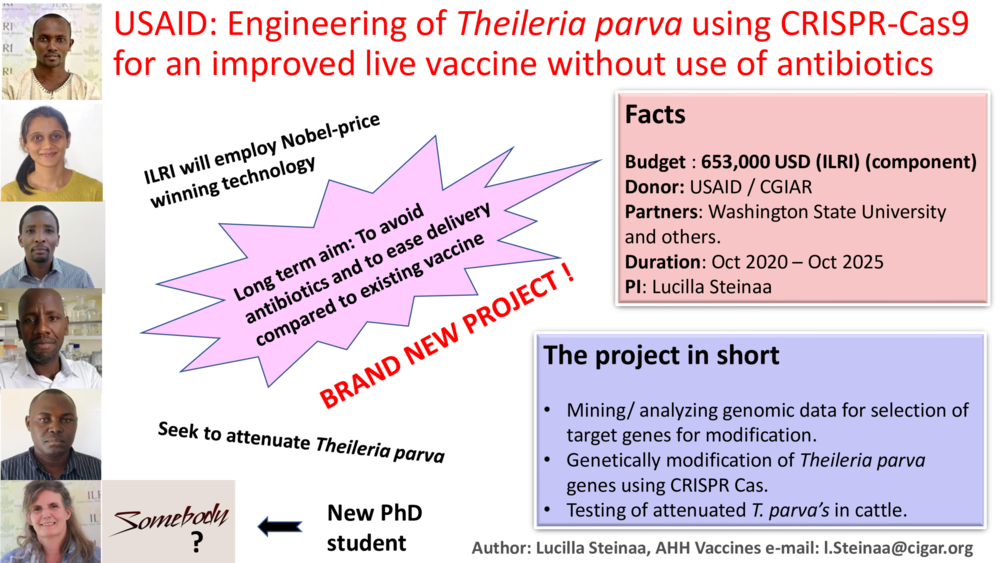 USAID: Engineering of Theileria parva using CRISPR Cas9 for an improved live vaccine without use of antibiotics