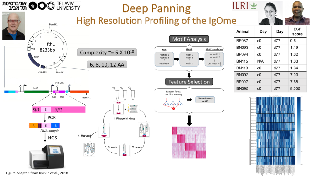 Deep Panning High Resolution Profiling of the IgOme