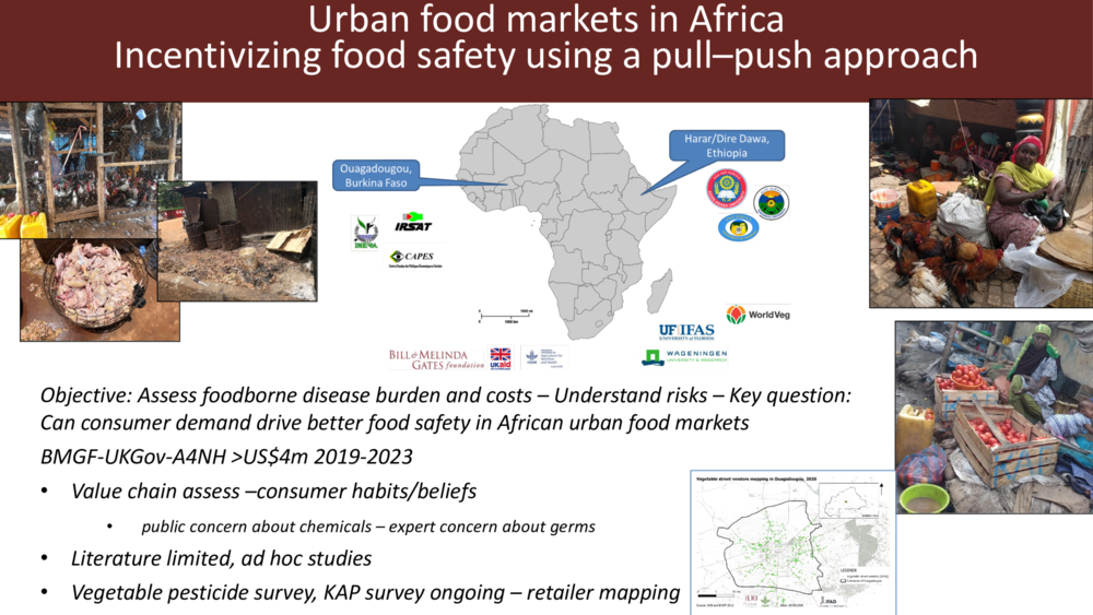 Urban food markets in Africa Incentivizing food safety using a pull–push approach