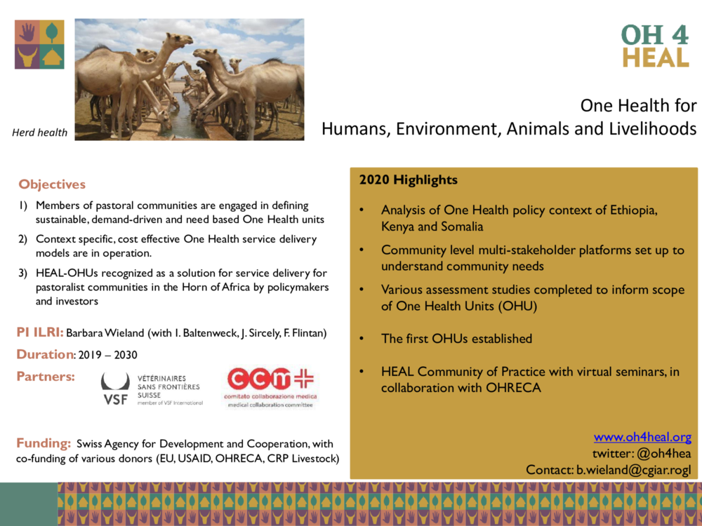 One Health for Humans, Environment, Animals and Livelihoods