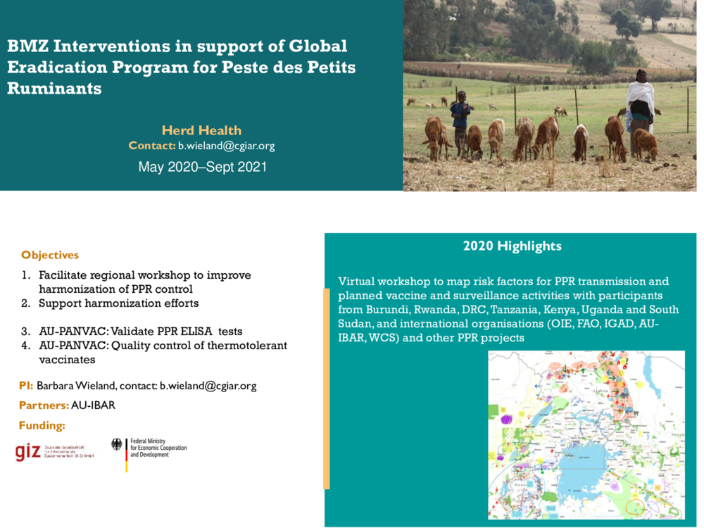BMZ Interventions in support of Global Eradication Program for Peste des Petits Ruminants