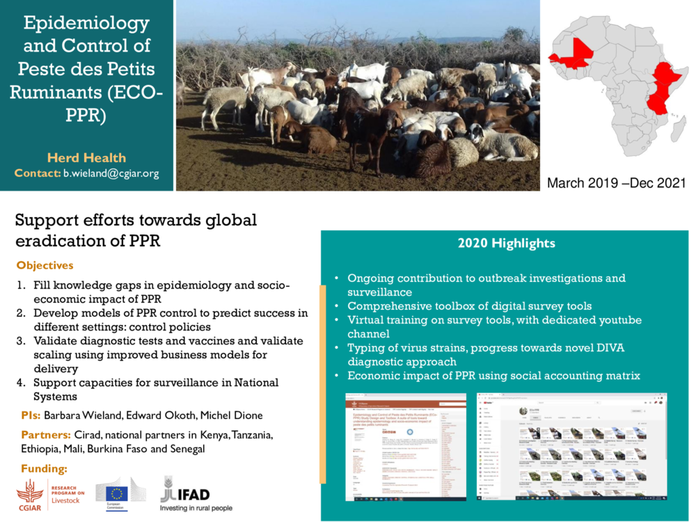 Epidemiology and Control of Peste des Petits Ruminants (ECO PPR)