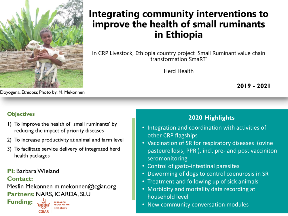 Integrating community interventions to improve the health of small ruminants in Ethiopia