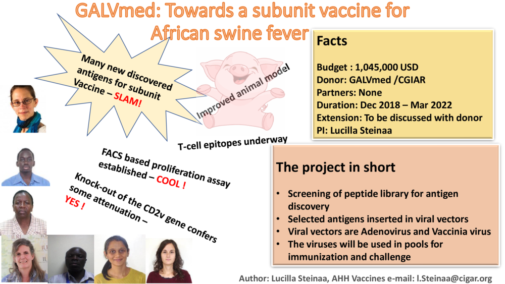 GALVmed: Towards a subunit vaccine for African swine fever