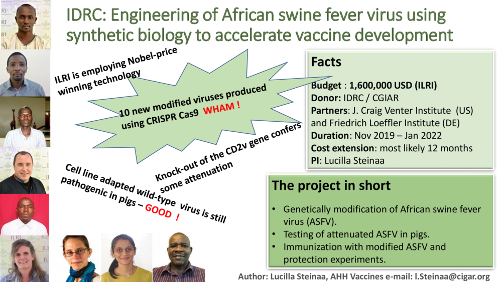 IDRC: Engineering of African swine fever virus using synthetic biology to accelerate vaccine development