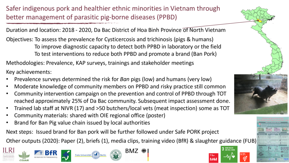 Safer indigenous pork and healthier ethnic minorities in Vietnam through better management of parasitic pig-borne diseases (PPBD)