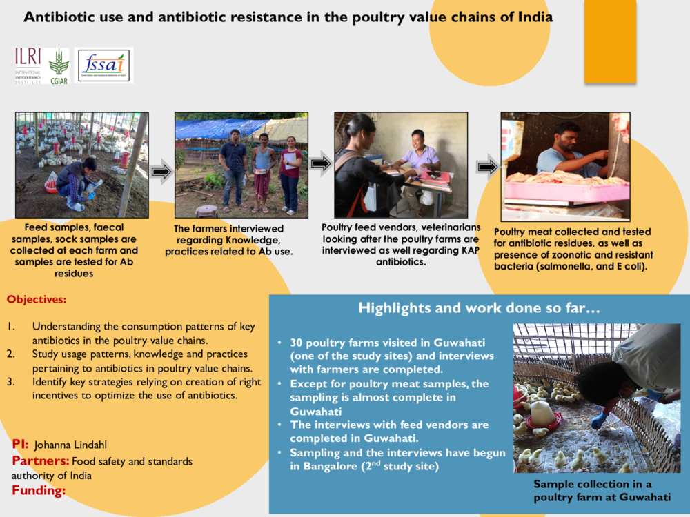 Antibiotic use and antibiotic resistance in the poultry value chains of India