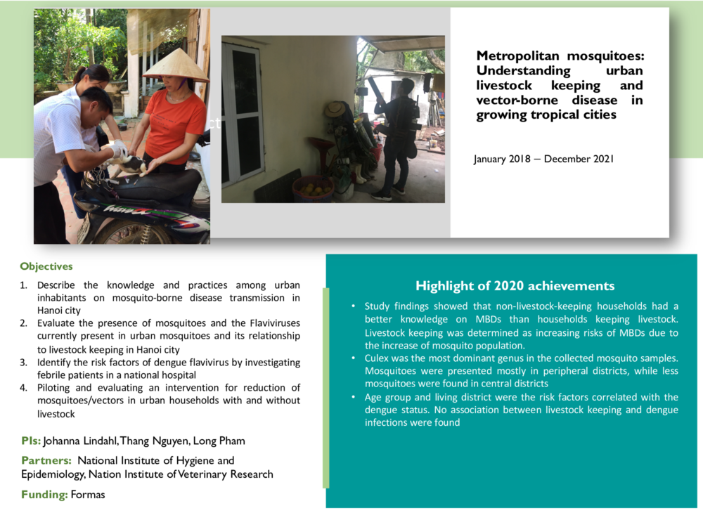 Metropolitan mosquitoes: Understanding urban livestock keeping and vector-borne disease in growing tropical cities