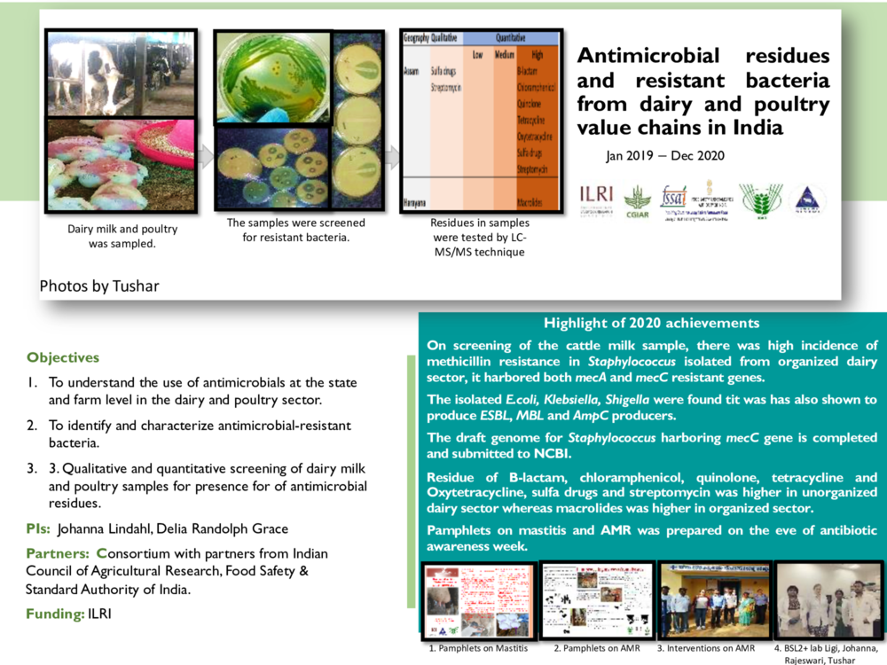 Antimicrobial residues and resistant bacteria from dairy and poultry value chains in India