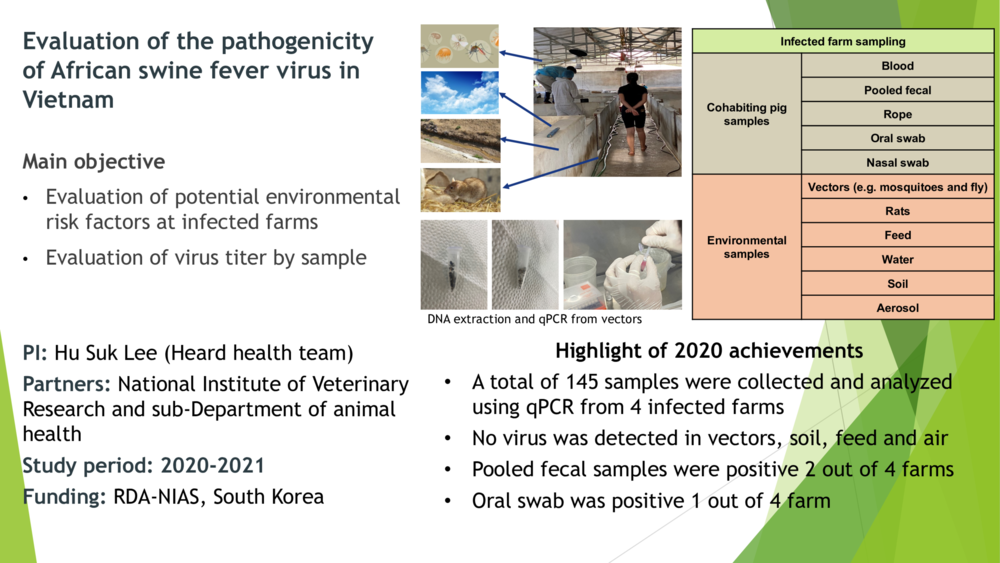 Evaluation of the pathogenicity of African swine fever virus in Vietnam