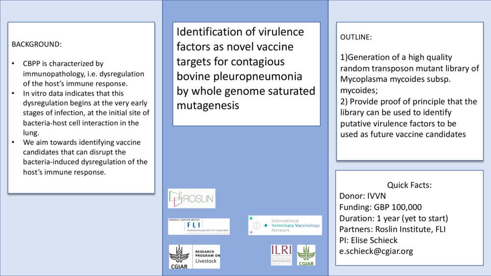 Identification of virulence factors as novel vaccine targets for contagious bovine pleuropneumonia by whole genome saturated mutagenesis