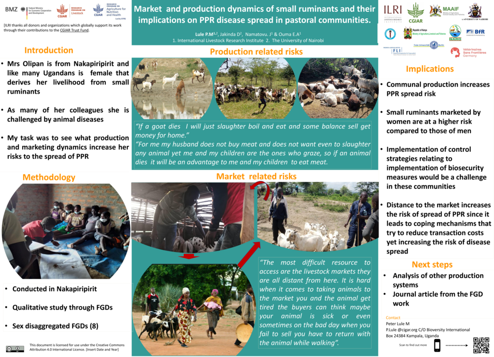 Market and production dynamics of small ruminants and their  implications on PPR disease spread in pastoral communities