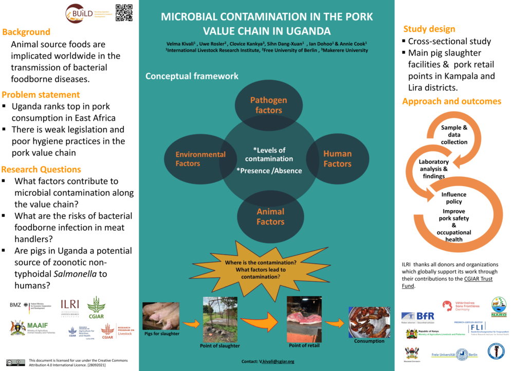 MICROBIAL CONTAMINATION IN THE PORK  VALUE CHAIN IN UGANDA