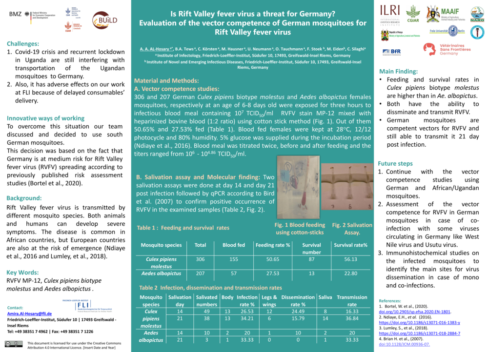 Is Rift Valley fever virus a threat for Germany? Evaluation of the vector competence of German mosquitoes for  Rift Valley fever virus